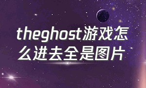 theghost游戏怎么进去全是图片