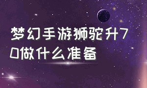 梦幻手游狮驼升70做什么准备