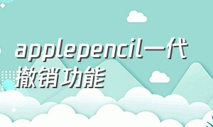 applepencil一代撤销功能（applepencil怎么撤销）