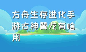 方舟生存进化手游古神翼龙有啥用（方舟生存进化手游风神翼龙刷新率）