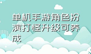 单机手游角色扮演打怪升级可养成