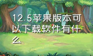 12.5苹果版本可以下载软件有什么