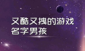 又酷又拽的游戏名字男孩（高雅霸气男孩游戏名字大全）