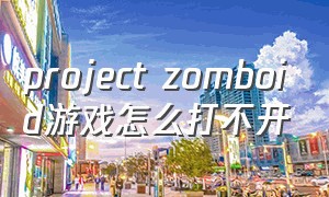 project zomboid游戏怎么打不开