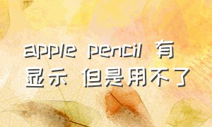 apple pencil 有显示 但是用不了