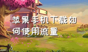 苹果手机下载如何使用流量