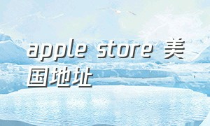 apple store 美国地址（applestore美国区付款）