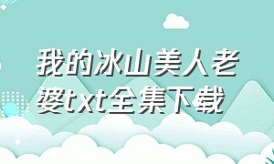 我的冰山美人老婆txt全集下载