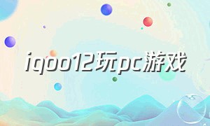 iqoo12玩pc游戏