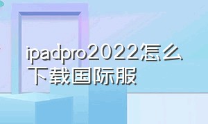 ipadpro2022怎么下载国际服