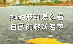 pubg被封怎么看自己的游戏名字