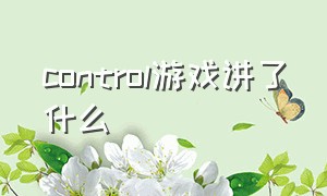 control游戏讲了什么（控制游戏讲的什么）