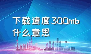 下载速度300mb什么意思