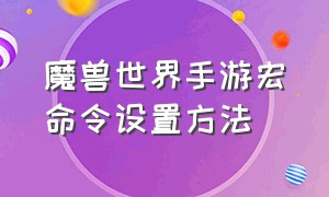 魔兽世界手游宏命令设置方法（魔兽世界萌新新手入门宏命令设置）