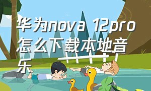 华为nova 12pro怎么下载本地音乐