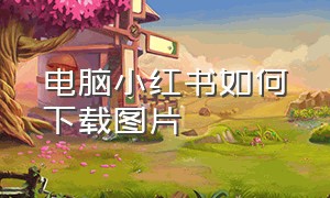 电脑小红书如何下载图片（电脑上小红书怎么下载无水印的图）