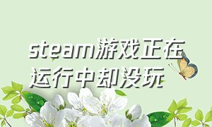 steam游戏正在运行中却没玩