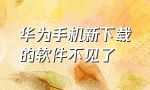 华为手机新下载的软件不见了