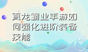 真龙霸业手游如何强化进阶装备技能