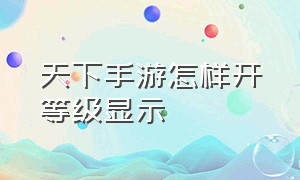 天下手游怎样开等级显示