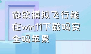 微软模拟飞行能在win11下载吗安全吗苹果