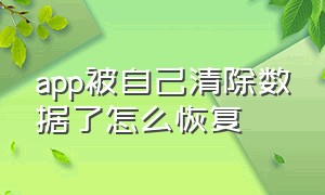 app被自己清除数据了怎么恢复（app被自己清除数据了怎么恢复聊天记录）