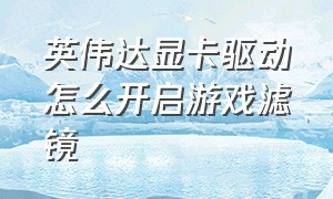 英伟达显卡驱动怎么开启游戏滤镜