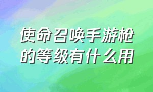 使命召唤手游枪的等级有什么用