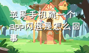 苹果手机就一个app闪退是怎么回事（苹果手机app出现闪退要怎么解决）