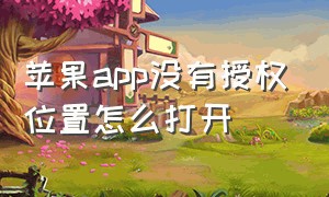 苹果app没有授权位置怎么打开