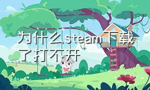 为什么Steam下载了打不开