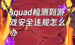 squad检测到游戏安全违规怎么办