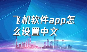飞机软件app怎么设置中文
