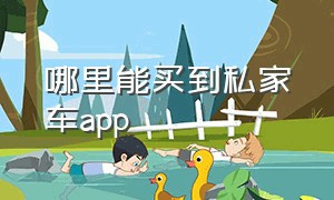 哪里能买到私家车app