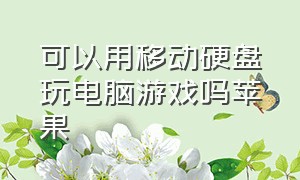 可以用移动硬盘玩电脑游戏吗苹果