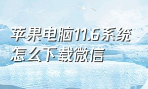 苹果电脑11.6系统怎么下载微信