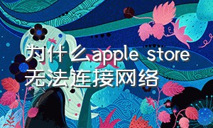 为什么apple store无法连接网络