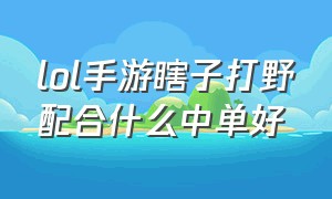 lol手游瞎子打野配合什么中单好