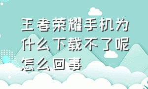 王者荣耀手机为什么下载不了呢怎么回事