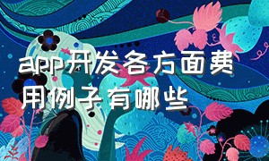 app开发各方面费用例子有哪些