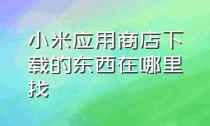 小米应用商店下载的东西在哪里找