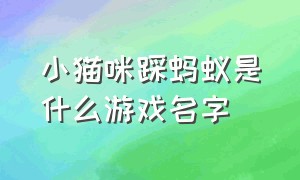 小猫咪踩蚂蚁是什么游戏名字