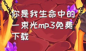 你是我生命中的一束光mp3免费下载