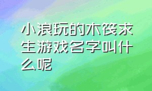 小浪玩的木筏求生游戏名字叫什么呢（小浪的木筏求生游戏是在哪里下的）