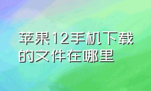 苹果12手机下载的文件在哪里