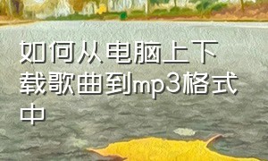 如何从电脑上下载歌曲到mp3格式中