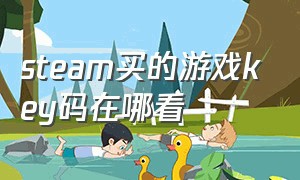 steam买的游戏key码在哪看