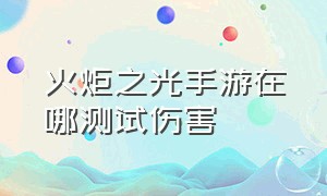 火炬之光手游在哪测试伤害