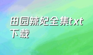 田园辣妃全集txt下载