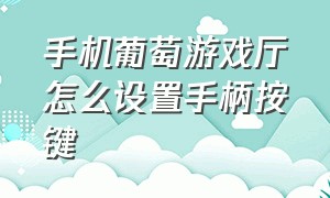 手机葡萄游戏厅怎么设置手柄按键